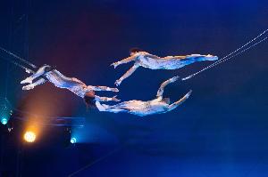 Weihnachtscircus-Countdown läuft - nächste Woche ist Premiere